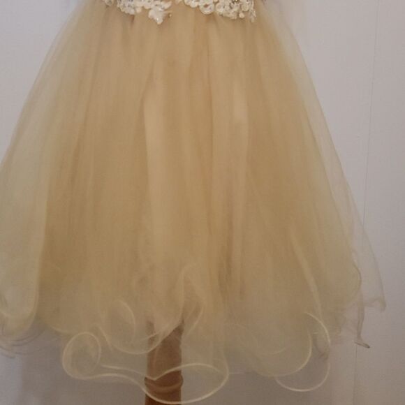 Dancing queen lace dress size small. - Picture 4 of 11